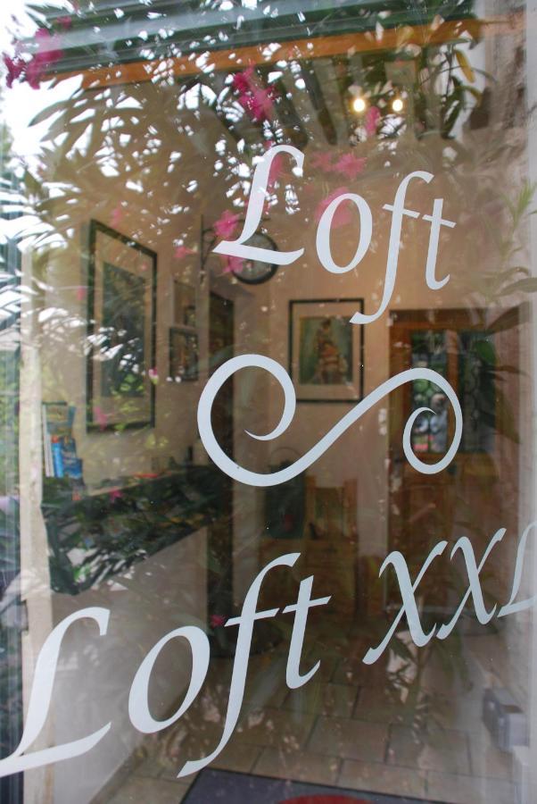 Les Lofts Apartment LʼIsle-sur-la-Sorgue Екстериор снимка
